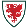 Wales WK 2022 Heren